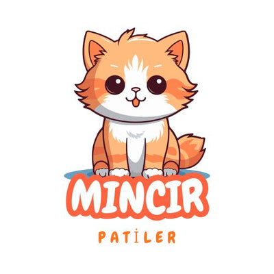 MINCIR PATİLER